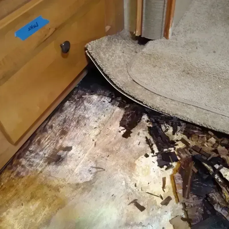 Wood Floor Water Damage in Hyde Park, IL